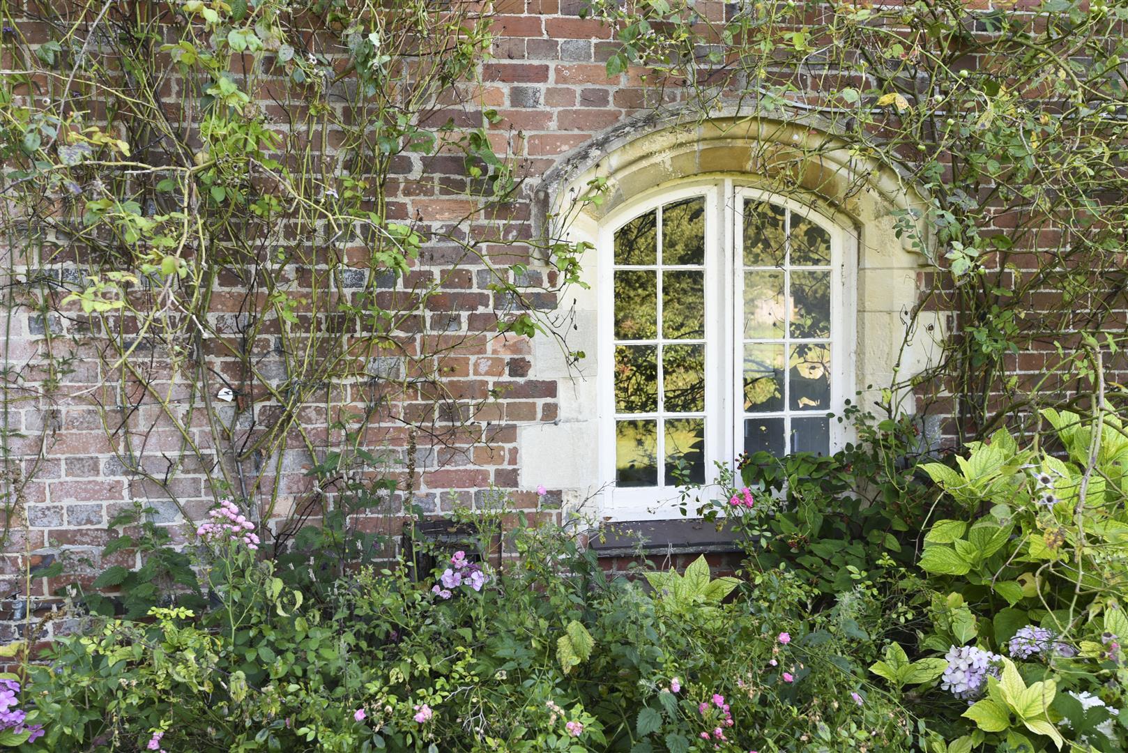 A FEATURE WINDOW.JPG